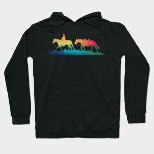 Rainbow cowboy and horse Hoodie